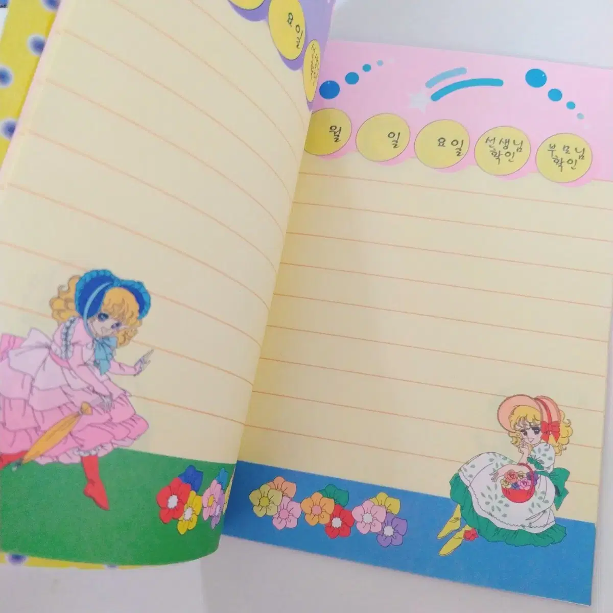 thumbnail-6